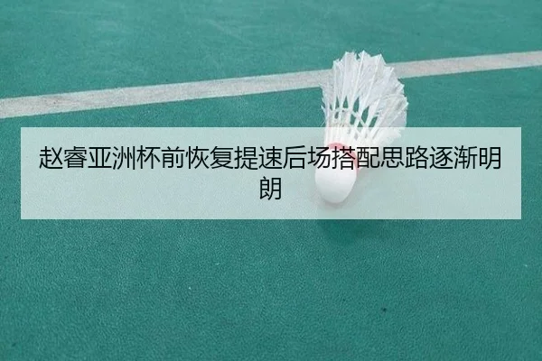赵睿亚洲杯前恢复提速后场搭配思路逐渐明朗